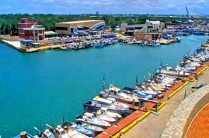 Porto de pesca de Yungan. Webcams ao vivo Taoyuan online