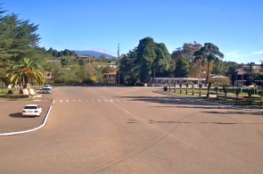 Parque Central. Webcams de gala online