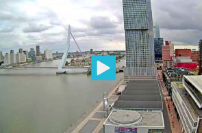 Ponte Erasmus, costa sul. Webcams em Roterdã online