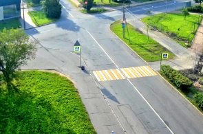 Travessia de pedestres na rodovia Strelnitsky. Webcams Krasnoye Selo