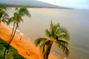 A Praia do Açúcar. Webcams de Honolulu online