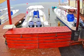 Clube de Mergulho Roatan Divers. Webcams de Roatan online