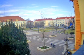 Freedom Square. Webcams com um mosquito online