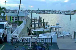 Webcam em Harbourside Motel & Marina. Webcams em Key West online