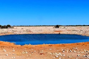 Poço de água no Parque Nacional de Etosha. Webcams Outjo