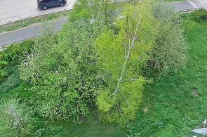 Avenida Salavat Yulaev. Ângulo 3. Webcams Baymak online