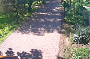 Parque Central. Webcams de Georgievsk online