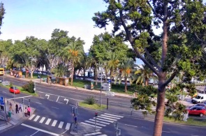 M.A.R. Faixa de pedestres. Webcams Madeira