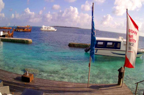Lily Beach Resort & SPA - tudo incluído. Webcams Maldivas online