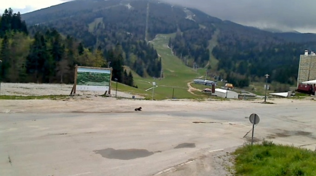 Monte Belashnitsa. Bósnia e Herzegovina webcam online