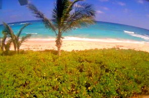 Green Turtle Cay. Hotel Bita Breeze. Webcams Bahamas