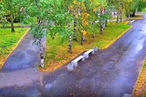 Parque Maysky em Galushina. Webcams Arkhangelsk