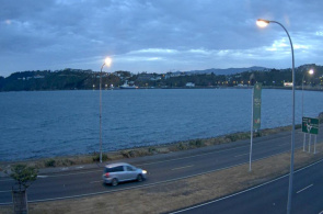 Costa de Wellington em tempo real