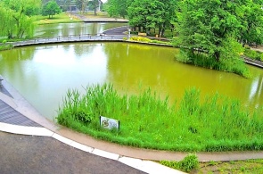 Lago Bicaz. Webcams online em Debrecen