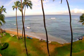 Condo Beach na Ilha Maui. Webcams online das Ilhas Havaianas