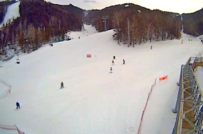 Fanpark "Beaver Log" webcam on-line