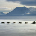 Procure por Nessie, trenós puxados por cães e caça a baleias. O que fazer em Chukotka