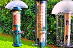 Alimentador de pássaros. Webcams Sheffield