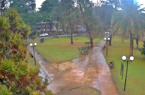 O Parque. Webcams Pitsunda