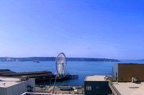 Aterro do parque à beira-mar. Webcams de Seattle online