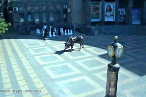 Praça Charles Aznavour. Yerevan webcam online