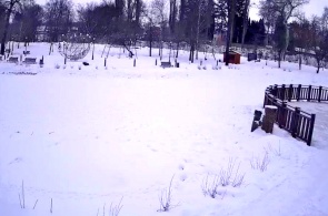 Parque Petrovsky. Webcams de Ielets