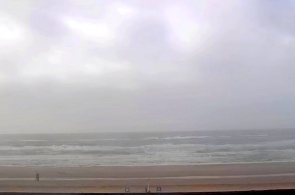 Henne Beach. Webcams Copenhaga